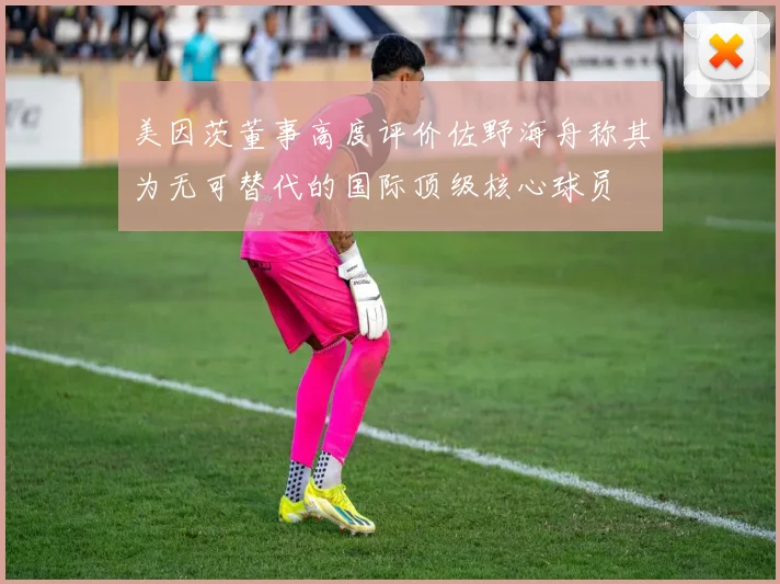 美因茨董事高度评价佐野海舟称其为无可替代的国际顶级核心球员