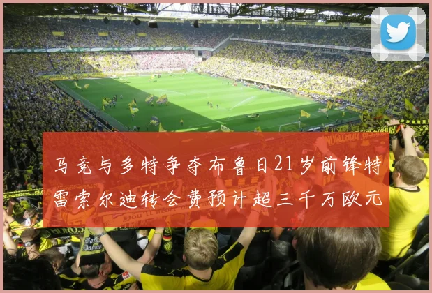 马竞与多特争夺布鲁日21岁前锋特雷索尔迪转会费预计超三千万欧元